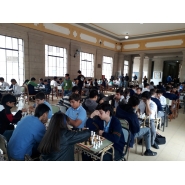 Liga de Ajedrez